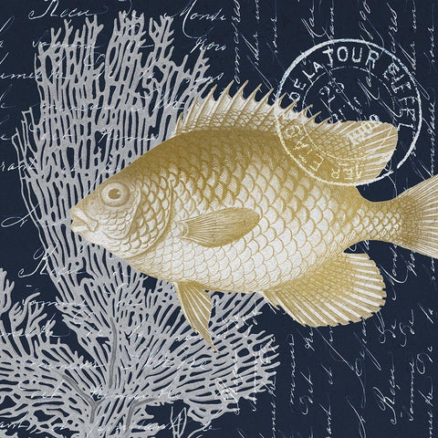 Fish Blues 2 White Modern Wood Framed Art Print with Double Matting by Kimberly, Allen