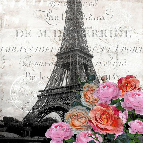 Paris Blooms 1 Gold Ornate Wood Framed Art Print with Double Matting by Kimberly, Allen