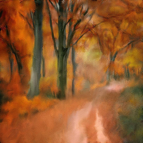 Autumn Road White Modern Wood Framed Art Print by Kimberly, Allen