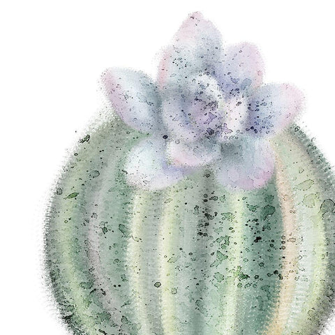 Succulent Speckled 2 White Modern Wood Framed Art Print with Double Matting by Kimberly, Allen