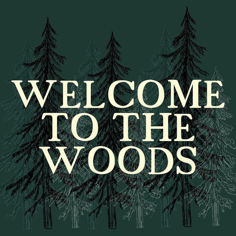 Welcome to The Woods 1 White Modern Wood Framed Art Print with Double Matting by Kimberly, Allen