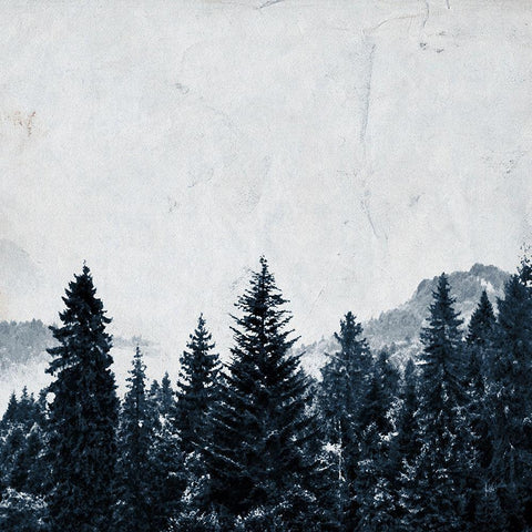 Wander Woods White Modern Wood Framed Art Print with Double Matting by Kimberly, Allen