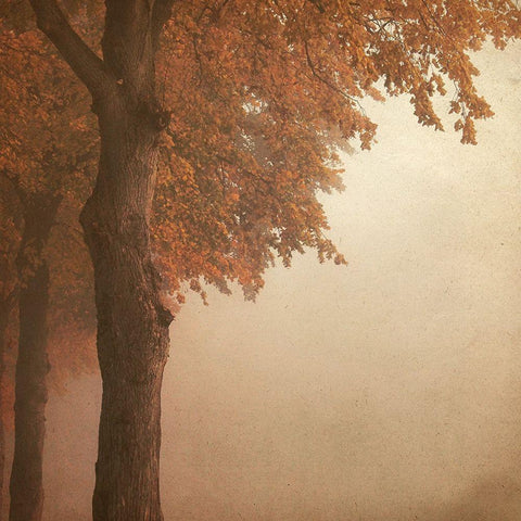 Never Let Your Mind Black Ornate Wood Framed Art Print with Double Matting by Kimberly, Allen