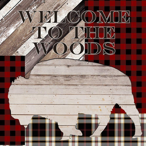 The Lodge 4 White Modern Wood Framed Art Print by Kimberly, Allen