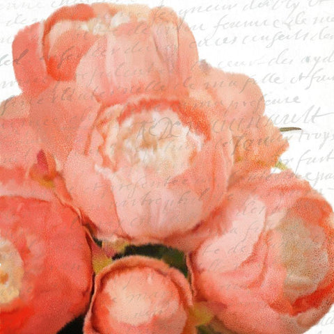 Peony Bunch White Modern Wood Framed Art Print with Double Matting by Kimberly, Allen