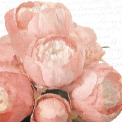 Soft Pink Peony Bunch Black Ornate Wood Framed Art Print with Double Matting by Kimberly, Allen