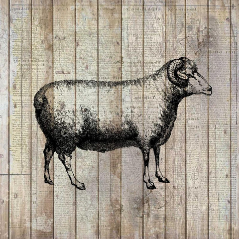Farm Life 2 Black Modern Wood Framed Art Print with Double Matting by Allen, Kimberly