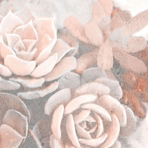 Dusty Pink Succulents 1 White Modern Wood Framed Art Print by Kimberly, Allen