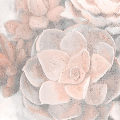 Dusty Pink Succulents 2 White Modern Wood Framed Art Print with Double Matting by Kimberly, Allen