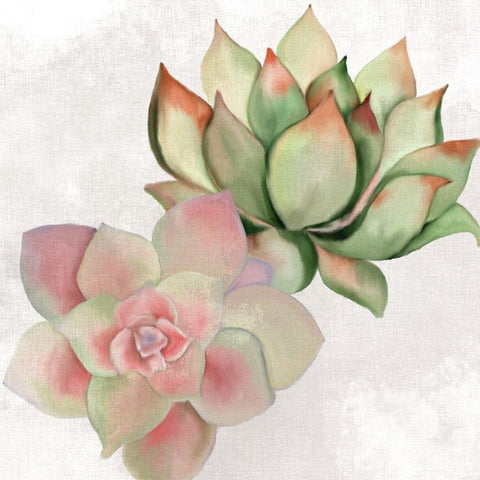 Succulent Summer 2 White Modern Wood Framed Art Print with Double Matting by Kimberly, Allen