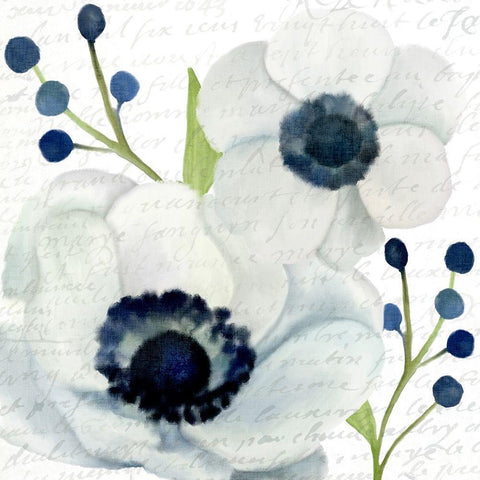 Anemone Square 1 Black Modern Wood Framed Art Print by Kimberly, Allen