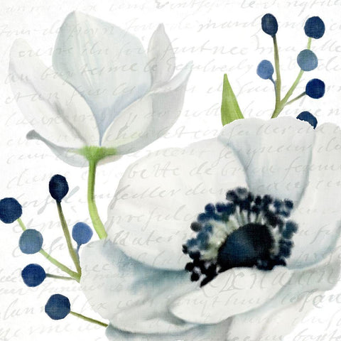 Anemone Square 2 Black Modern Wood Framed Art Print by Kimberly, Allen