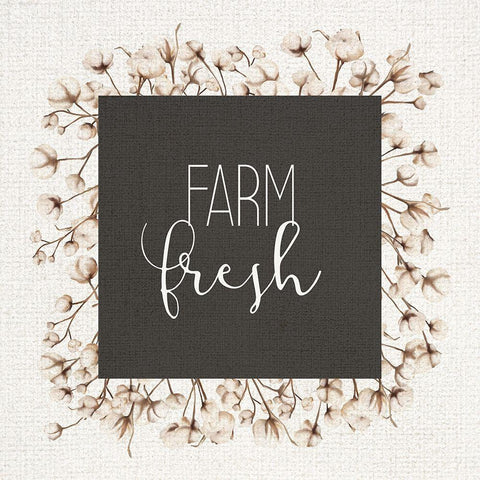 Farm Fresh Cotton Black Modern Wood Framed Art Print with Double Matting by Kimberly, Allen