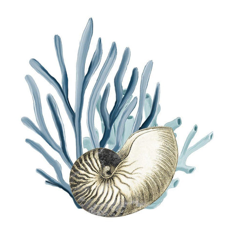 Coastal Coral 2 Black Ornate Wood Framed Art Print with Double Matting by Kimberly, Allen