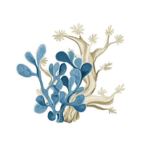 Coastal Coral 3 Gold Ornate Wood Framed Art Print with Double Matting by Kimberly, Allen