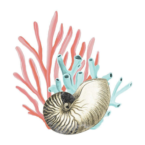 Coral Coastal 2 Black Modern Wood Framed Art Print with Double Matting by Kimberly, Allen