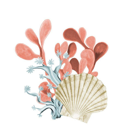 Coral Coastal 5 White Modern Wood Framed Art Print with Double Matting by Kimberly, Allen