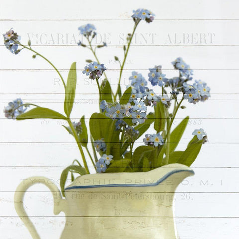 Forget ME Not Black Modern Wood Framed Art Print by Kimberly, Allen