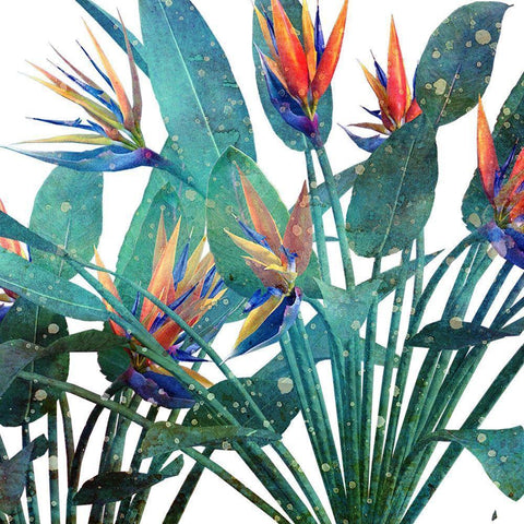 Tropic Flower 2 White Modern Wood Framed Art Print by Kimberly, Allen