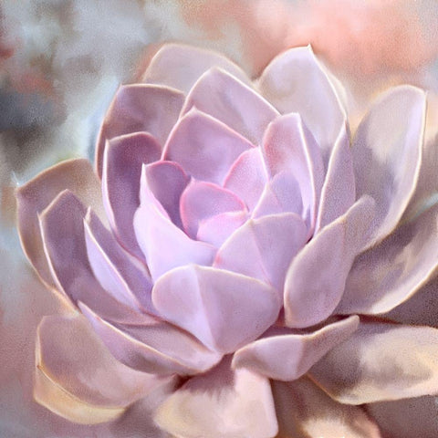 Painted Succulent 1 White Modern Wood Framed Art Print with Double Matting by Kimberly, Allen