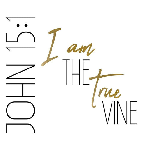 I am the True Vine Square Black Ornate Wood Framed Art Print with Double Matting by Kimberly, Allen
