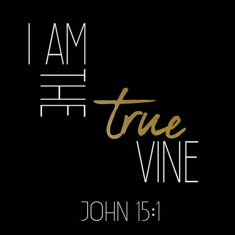 I am the True Vine Black Square Black Ornate Wood Framed Art Print with Double Matting by Kimberly, Allen