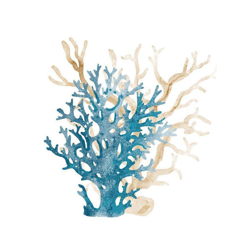 Coral Cove Blue 3 v2 White Modern Wood Framed Art Print with Double Matting by Kimberly, Allen