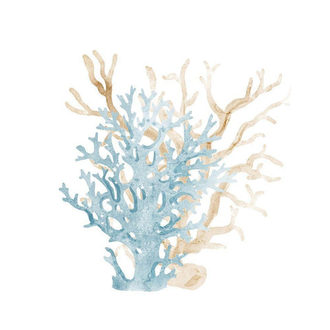 Coral Cove Blue 3 Black Ornate Wood Framed Art Print with Double Matting by Kimberly, Allen