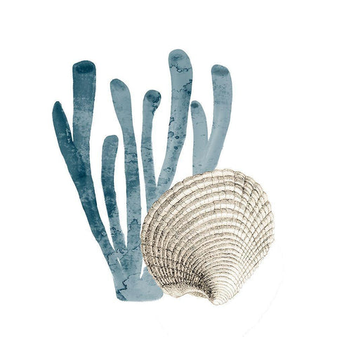 Coral Cove Blue 4 White Modern Wood Framed Art Print by Kimberly, Allen