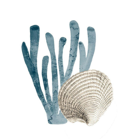 Coral Cove Blue 4 Black Ornate Wood Framed Art Print with Double Matting by Kimberly, Allen