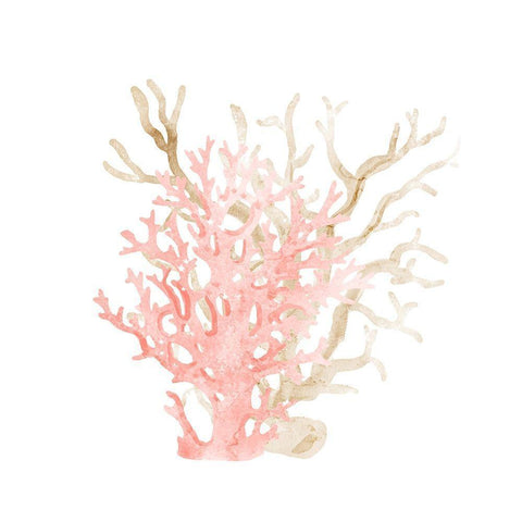 Coral Cove 3 White Modern Wood Framed Art Print by Kimberly, Allen