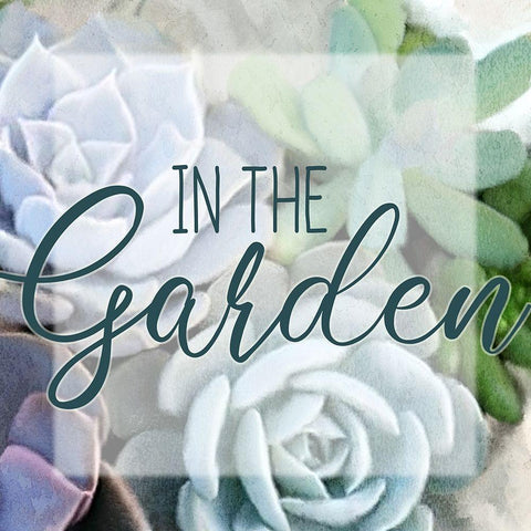 Succulent Garden White Modern Wood Framed Art Print with Double Matting by Kimberly, Allen