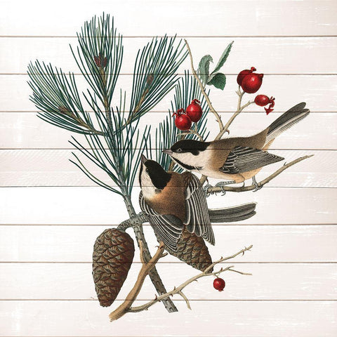 Winter Bird 1 Black Modern Wood Framed Art Print by Kimberly, Allen