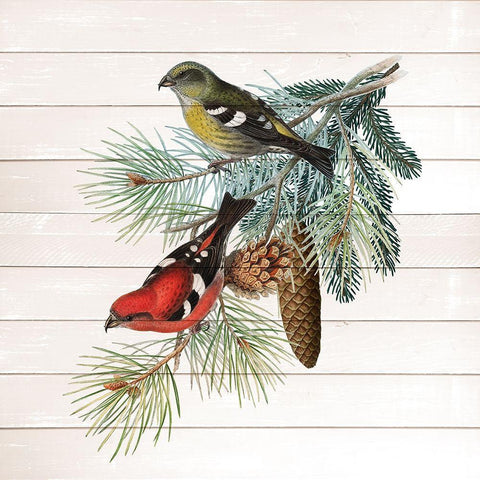 Winter Bird 2 Black Modern Wood Framed Art Print by Kimberly, Allen