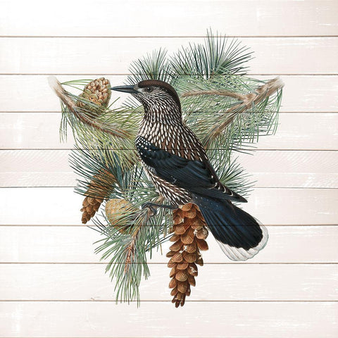 Winter Bird 3 Black Modern Wood Framed Art Print by Kimberly, Allen