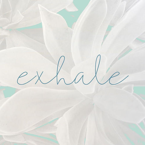 Exhale White Modern Wood Framed Art Print with Double Matting by Kimberly, Allen