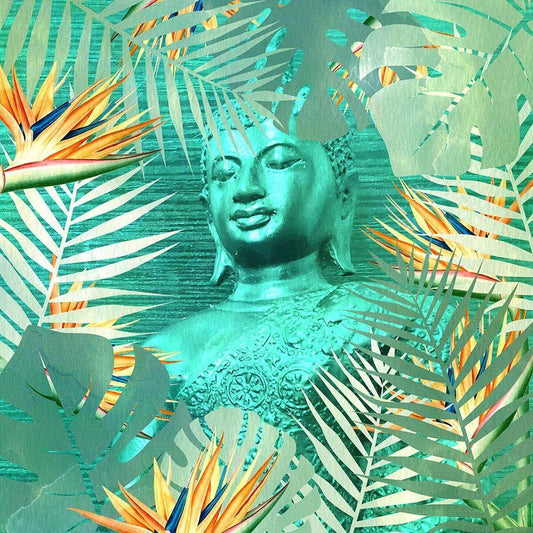 Image Only