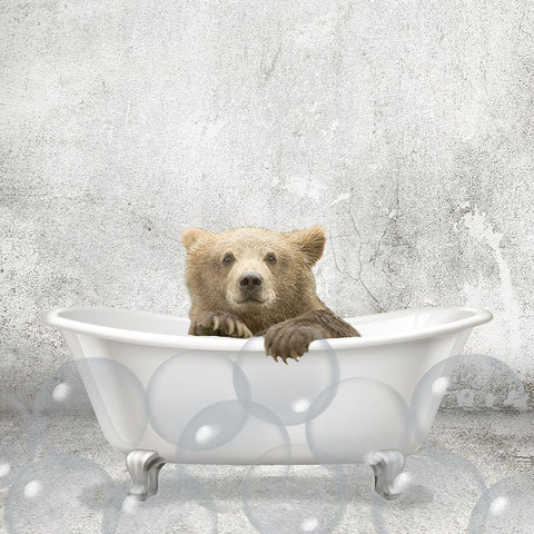 Baby Bear Bath White Modern Wood Framed Art Print with Double Matting by Kimberly, Allen