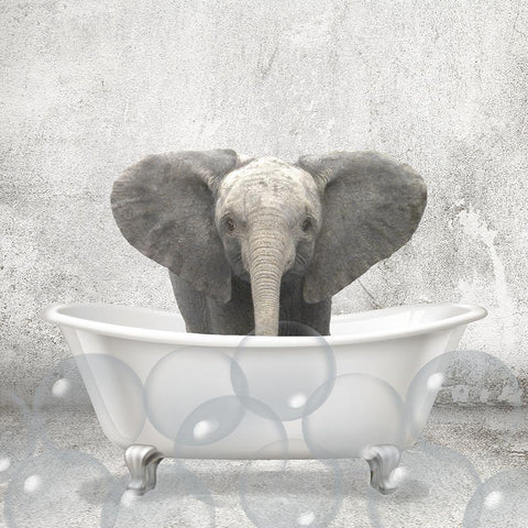 Baby Elephant Bath Black Modern Wood Framed Art Print with Double Matting by Kimberly, Allen