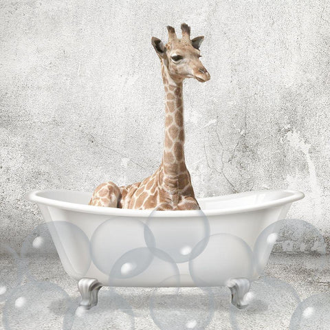 Baby Giraffe Bath Black Ornate Wood Framed Art Print with Double Matting by Kimberly, Allen