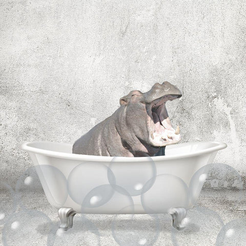 Baby Hippo Bath White Modern Wood Framed Art Print by Kimberly, Allen