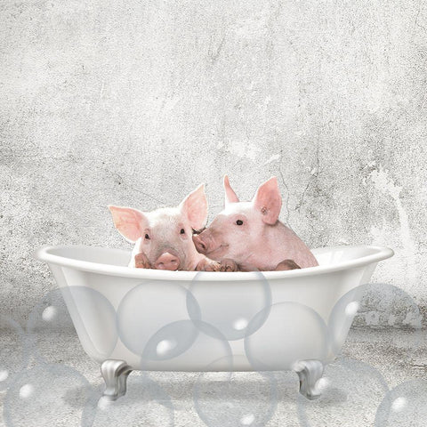 Baby Piglets Bath White Modern Wood Framed Art Print by Kimberly, Allen