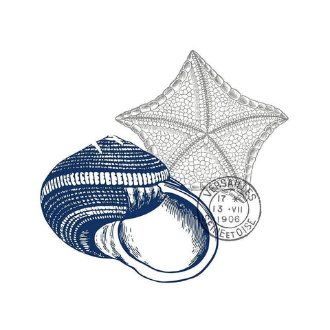 Adventures at Sea 2 Gold Ornate Wood Framed Art Print with Double Matting by Kimberly, Allen