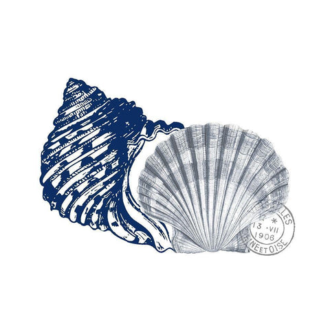 Adventures at Sea 6 Black Ornate Wood Framed Art Print with Double Matting by Kimberly, Allen