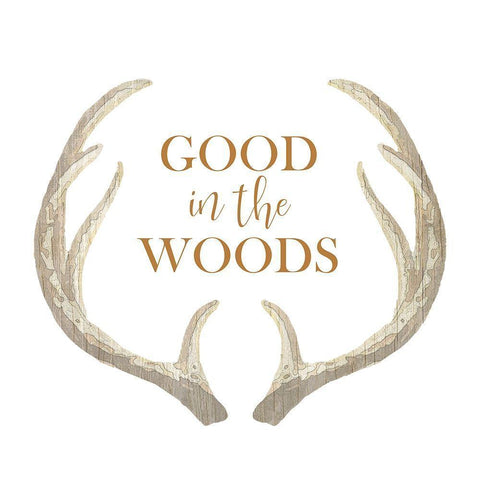 Good in the Woods Black Modern Wood Framed Art Print with Double Matting by Kimberly, Allen