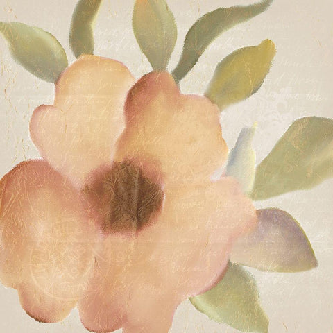 Fall Blooms 1 White Modern Wood Framed Art Print by Kimberly, Allen