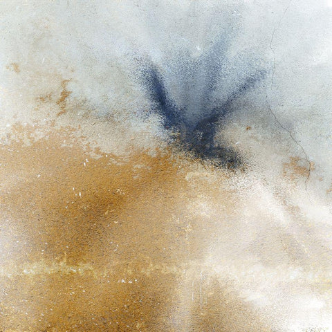 Fall Burst Black Modern Wood Framed Art Print by Kimberly, Allen