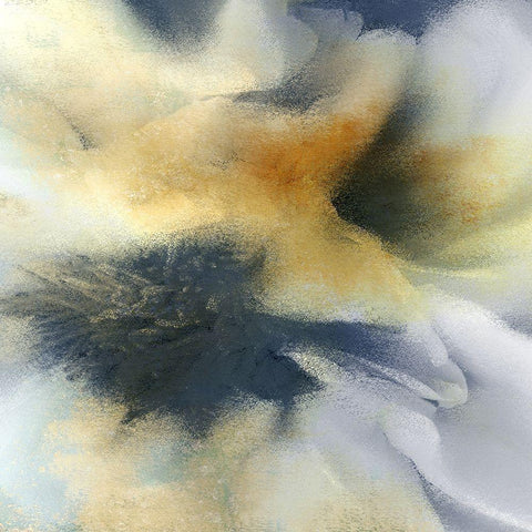 Floral Burst White Modern Wood Framed Art Print with Double Matting by Kimberly, Allen