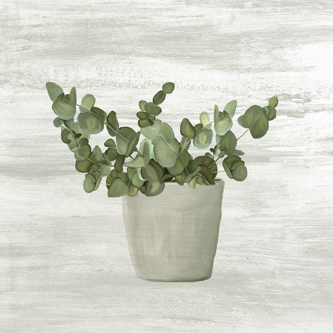 Muted Spring Green White Modern Wood Framed Art Print with Double Matting by Kimberly, Allen