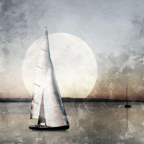Moonlight Sail Gold Ornate Wood Framed Art Print with Double Matting by Allen, Kimberly